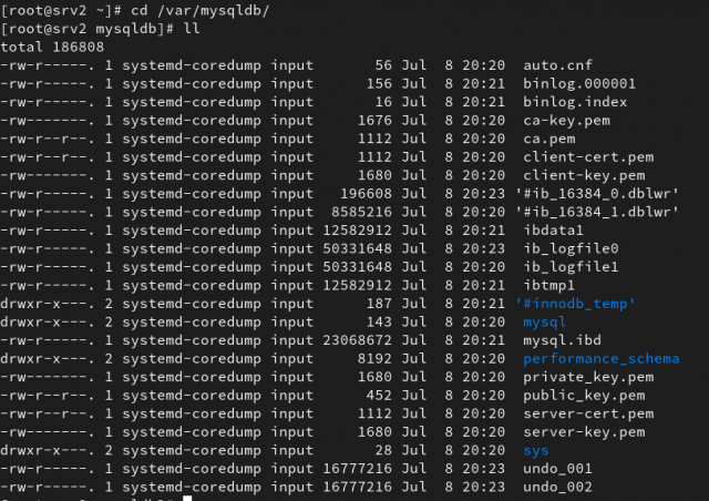 Setup & configure MySQL docker container - with Persistent Storage